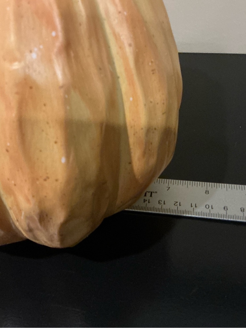 One Indoor/Outdoor Autumn Pumpkin Squash 🍂 - Picture 7 of 8